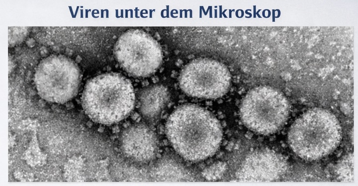 Virus Mikroskop